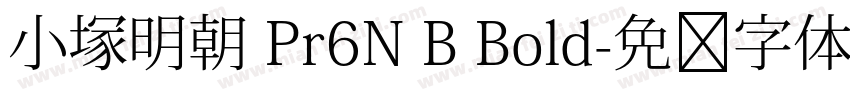 小塚明朝 Pr6N B Bold字体转换
